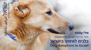 isr_dogadopt2